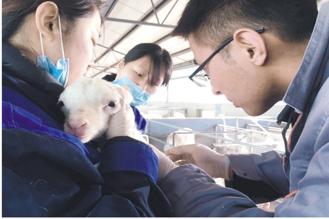 當(dāng)好產(chǎn)業(yè)扶貧主力軍，打贏脫貧攻堅(jiān)戰(zhàn)